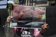 Vegan Protest And Vigil In Mexico City