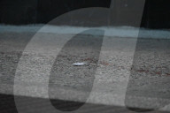 44-year-old Man Fatally Stabbed To The Chest At 1567 Fulton Street In Bedford-Stuyvesant Brooklyn New York