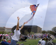 Blossom Kite Festival In Washington DC