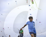 Blossom Kite Festival In Washington DC