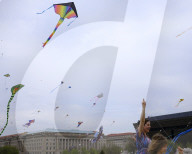 Blossom Kite Festival In Washington DC