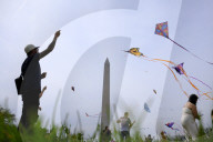 Blossom Kite Festival In Washington DC
