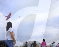 Blossom Kite Festival In Washington DC