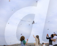 Blossom Kite Festival In Washington DC