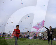 Blossom Kite Festival In Washington DC