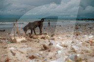 Platic Waste Beach Bali Indonesia