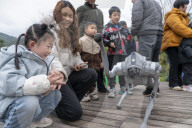 Robot Dog Enters Tea Plantation in Enshi