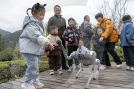 Robot Dog Enters Tea Plantation in Enshi
