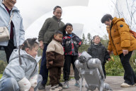 Robot Dog Enters Tea Plantation in Enshi
