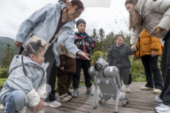 Robot Dog Enters Tea Plantation in Enshi