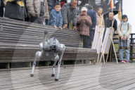 Robot Dog Enters Tea Plantation in Enshi