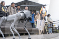 Robot Dog Enters Tea Plantation in Enshi