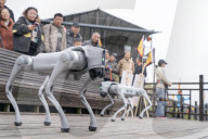 Robot Dog Enters Tea Plantation in Enshi