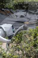 Robot Dog Enters Tea Plantation in Enshi