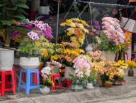Store With Artificial Flowers Near The Market In The Vietnamese City Of Thanh Hoa
