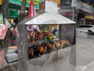 Ducks Roasted Over Charcoal At A Street Stall In Vietnam
