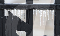 Freezing Rain Covers Tree Branches In Brampton, Ontario, On March 30, 2025.