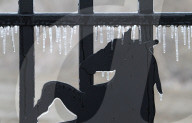 Freezing Rain Covers Tree Branches In Brampton, Ontario, On March 30, 2025.