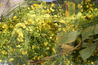 Vishu Festival Items At The Chalai Market In Thiruvananthapuram