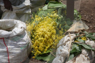 Vishu Festival Items At The Chalai Market In Thiruvananthapuram