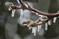 Over 220,000 Without Power In Ontario As Ice Storm Moves Through The Province