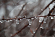 Over 220,000 Without Power In Ontario As Ice Storm Moves Through The Province