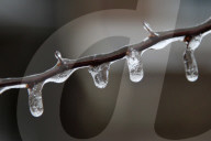 Over 220,000 Without Power In Ontario As Ice Storm Moves Through The Province