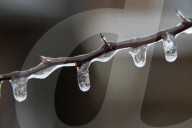 Over 220,000 Without Power In Ontario As Ice Storm Moves Through The Province