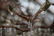 Over 220,000 Without Power In Ontario As Ice Storm Moves Through The Province