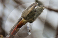 Over 220,000 Without Power In Ontario As Ice Storm Moves Through The Province