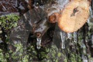 Over 220,000 Without Power In Ontario As Ice Storm Moves Through The Province