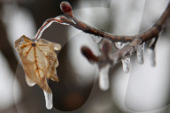 Over 220,000 Without Power In Ontario As Ice Storm Moves Through The Province