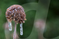 Over 220,000 Without Power In Ontario As Ice Storm Moves Through The Province