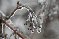 Over 220,000 Without Power In Ontario As Ice Storm Moves Through The Province