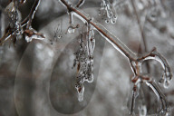 Over 220,000 Without Power In Ontario As Ice Storm Moves Through The Province