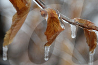 Over 220,000 Without Power In Ontario As Ice Storm Moves Through The Province