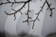 Over 220,000 Without Power In Ontario As Ice Storm Moves Through The Province