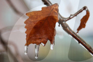 Over 220,000 Without Power In Ontario As Ice Storm Moves Through The Province