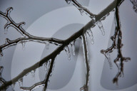 Over 220,000 Without Power In Ontario As Ice Storm Moves Through The Province