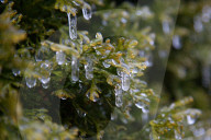 Over 220,000 Without Power In Ontario As Ice Storm Moves Through The Province