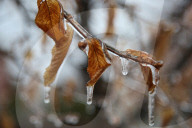 Over 220,000 Without Power In Ontario As Ice Storm Moves Through The Province