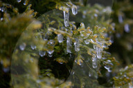 Over 220,000 Without Power In Ontario As Ice Storm Moves Through The Province