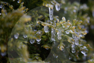 Over 220,000 Without Power In Ontario As Ice Storm Moves Through The Province