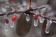 Over 220,000 Without Power In Ontario As Ice Storm Moves Through The Province