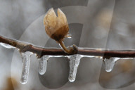 Over 220,000 Without Power In Ontario As Ice Storm Moves Through The Province