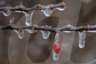 Over 220,000 Without Power In Ontario As Ice Storm Moves Through The Province