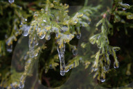 Over 220,000 Without Power In Ontario As Ice Storm Moves Through The Province