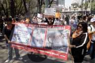 Protest Against Animal Abuse In Mexico City