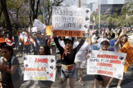 Protest Against Animal Abuse In Mexico City