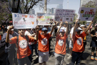 Protest Against Animal Abuse In Mexico City